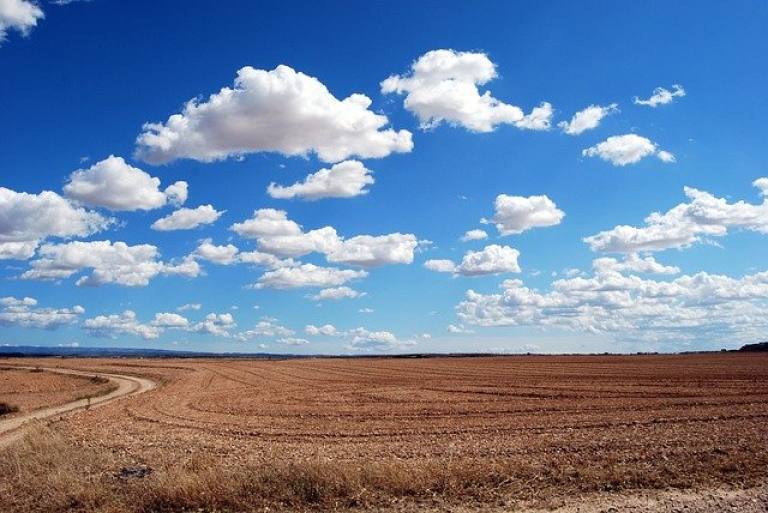field-g14f08575d_640